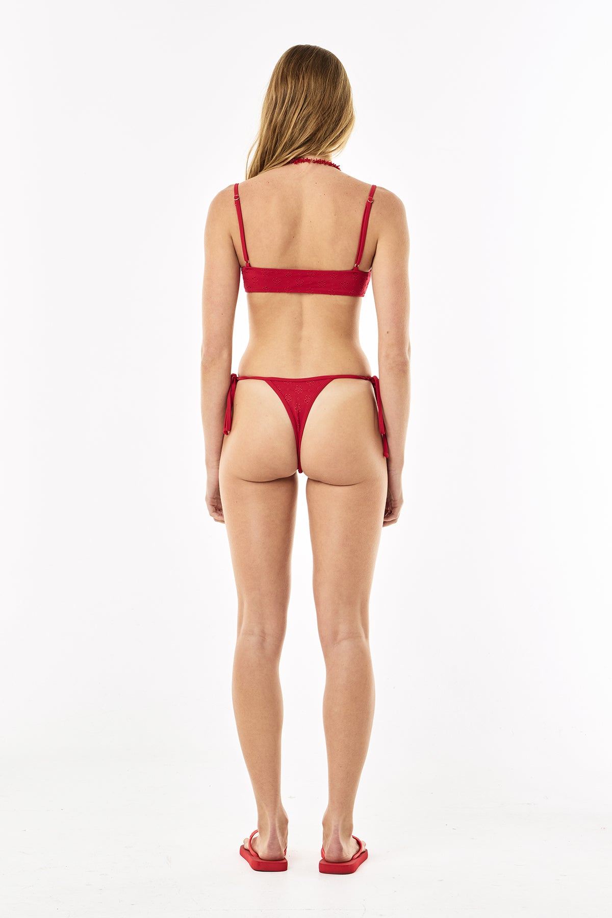 Pamela Thong Brief | Scarlet Daisy