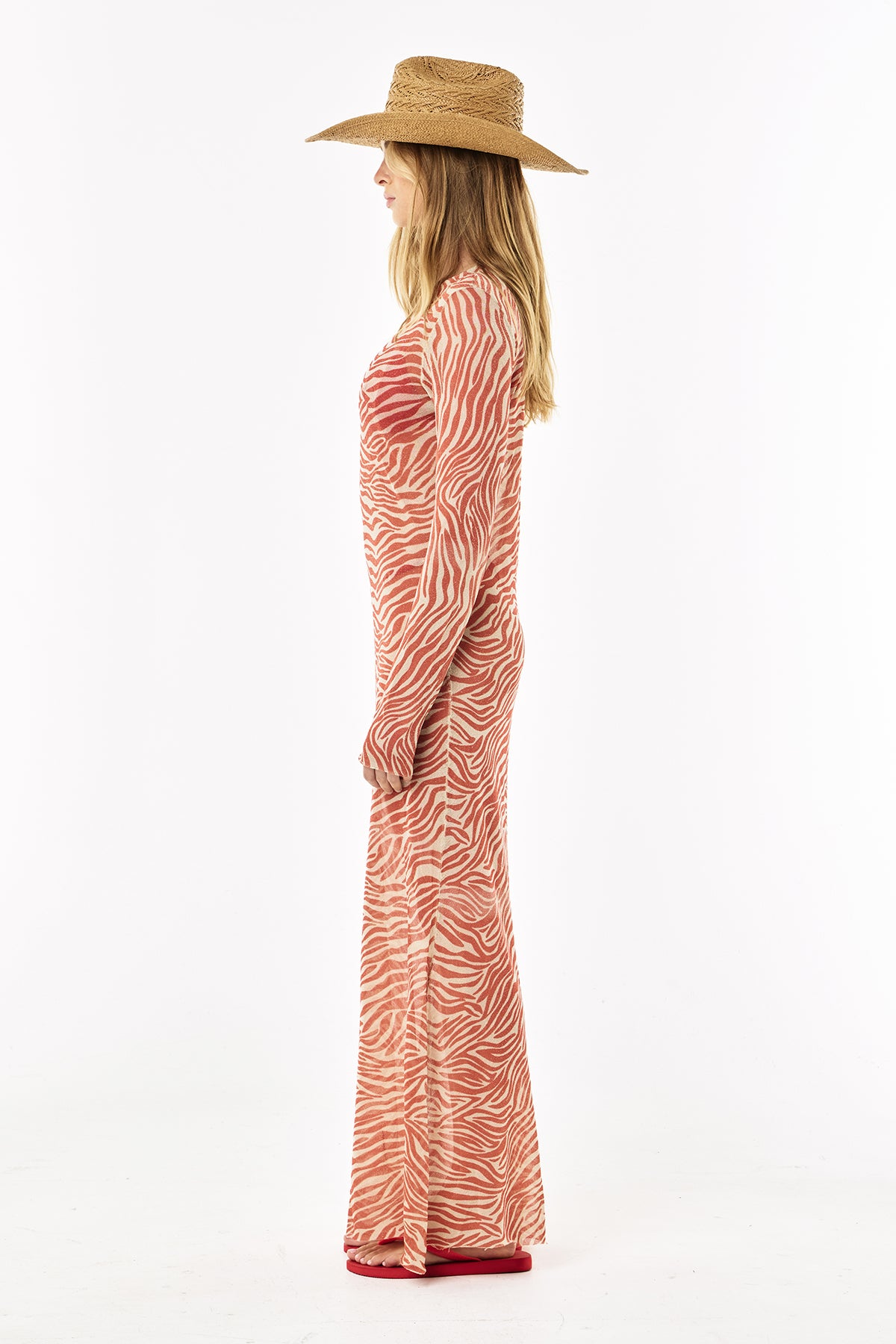 Sheer Lurex Dress | Scarlet Zebra