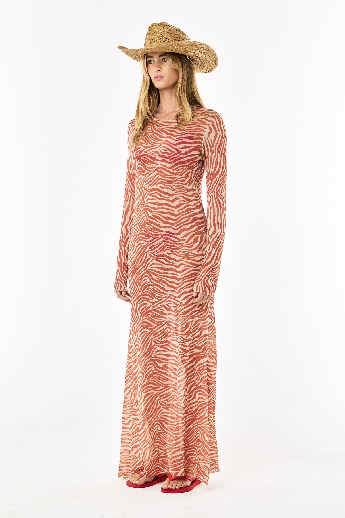 Sheer Lurex Dress | Scarlet Zebra